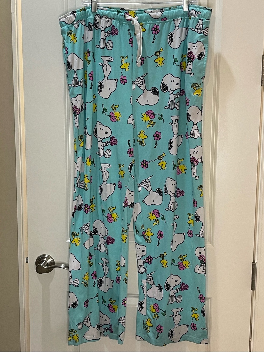 Peanuts Aqua Splash Snoopy & Woodstock Pajama Pants Loungewear with Pockets XXL